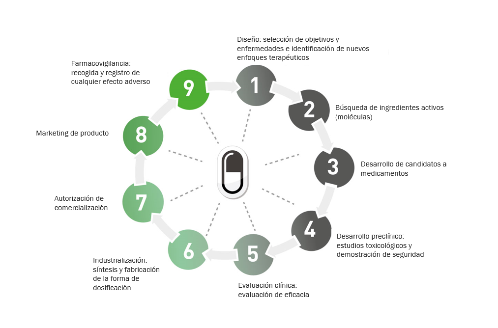 research-development-cycle